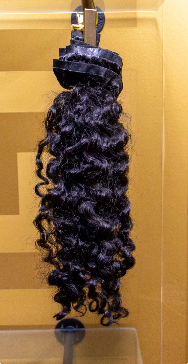 Burmese Curly